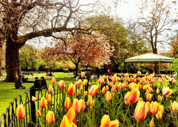 St. Stephen's Green Dublin in spring