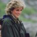 Lady Di Barbour